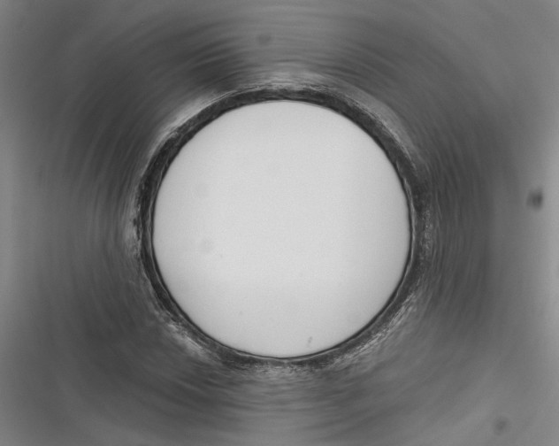 X0000116851018201001121215