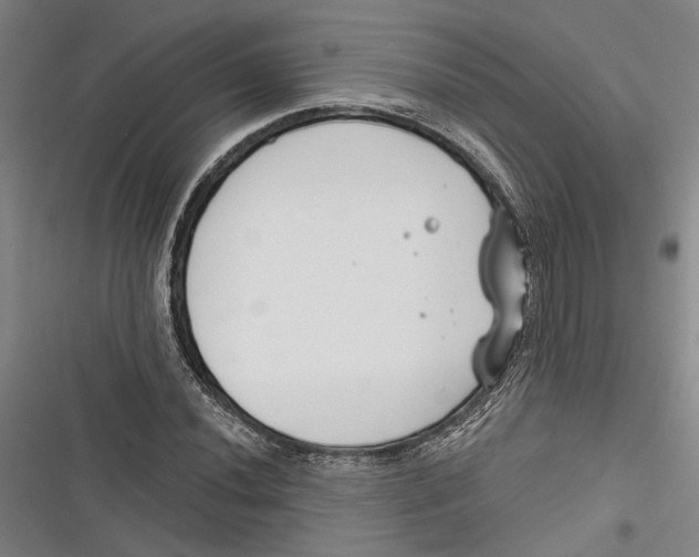 X0000116851020201001121215