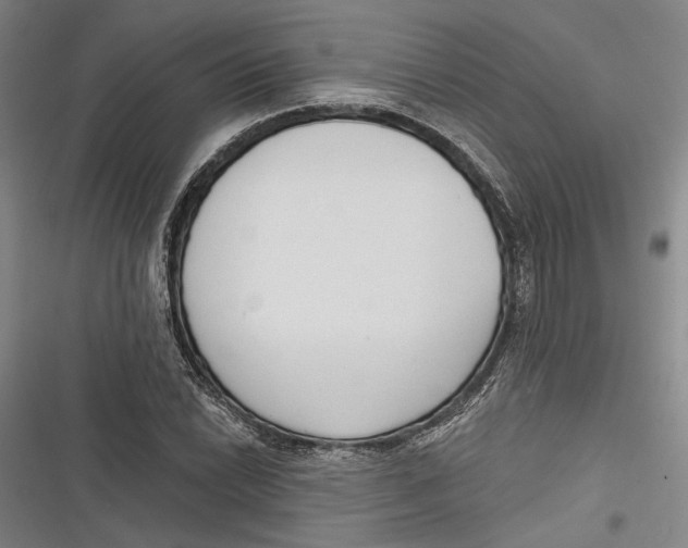 X0000116851022201001121215