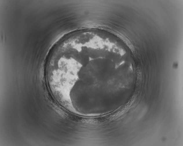X0000116851023201001121215