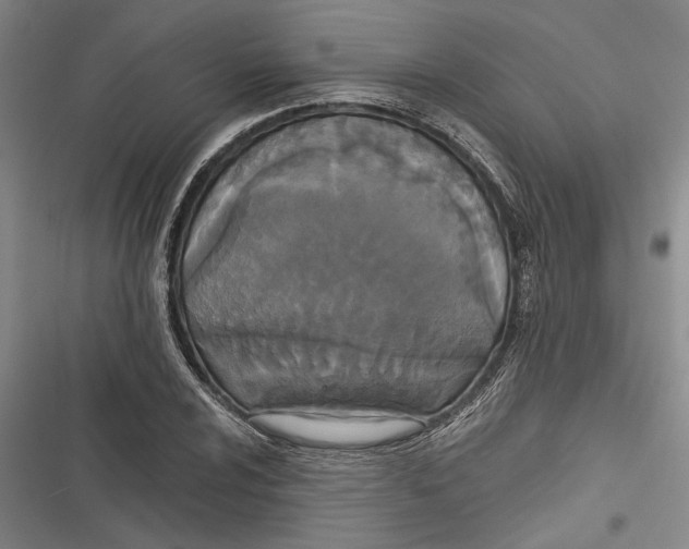X0000116851024201001121215