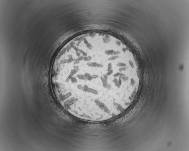 X0000116851025201001121215