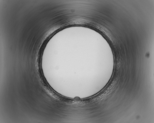 X0000116851026201001121215