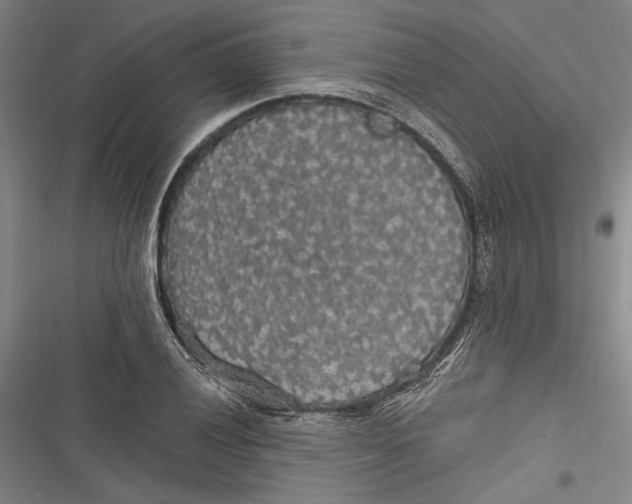 X0000116851028201001121215