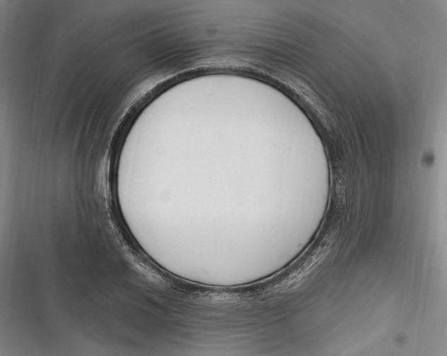 X0000116851030201001121215