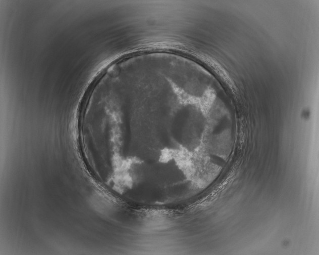 X0000116851031201001121215