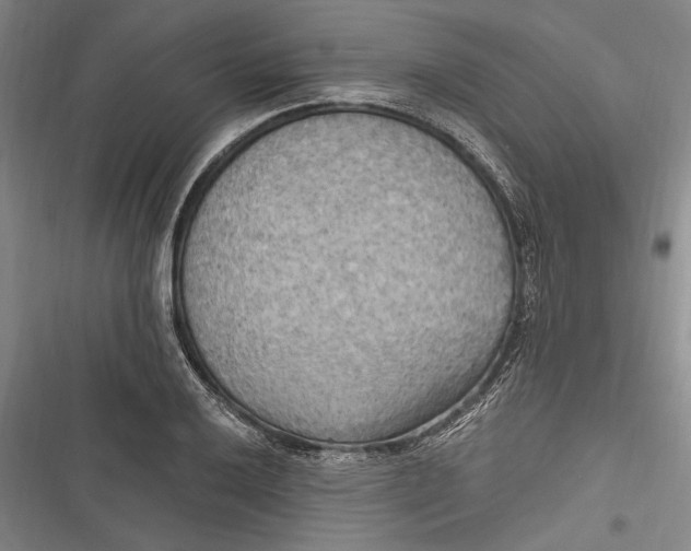 X0000116851032201001121215