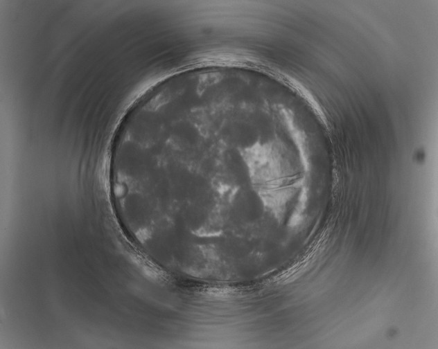X0000116851035201001121215