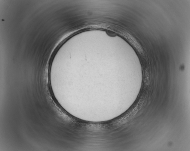 X0000116851036201001121215