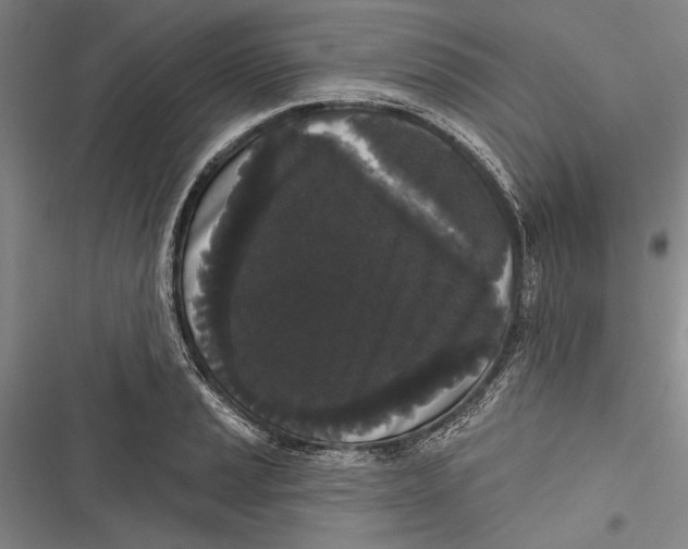 X0000116851037201001121215