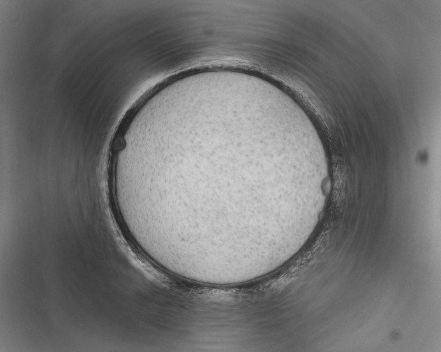 X0000116851038201001121215