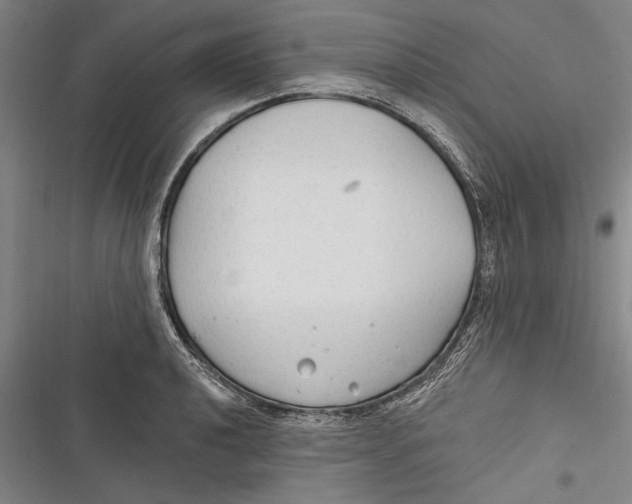 X0000116851040201001121216