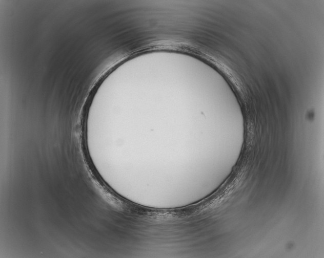 X0000116851042201001121216