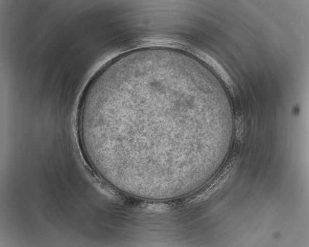 X0000116851043201001121216
