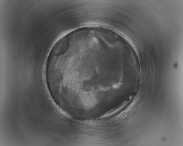 X0000116851045201001121216