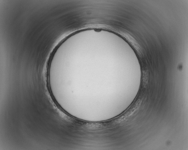 X0000116851046201001121216