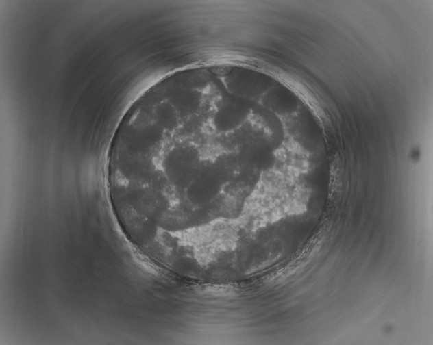 X0000116851047201001121216