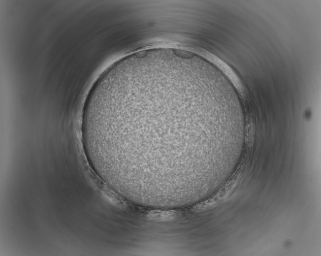 X0000116851051201001121216