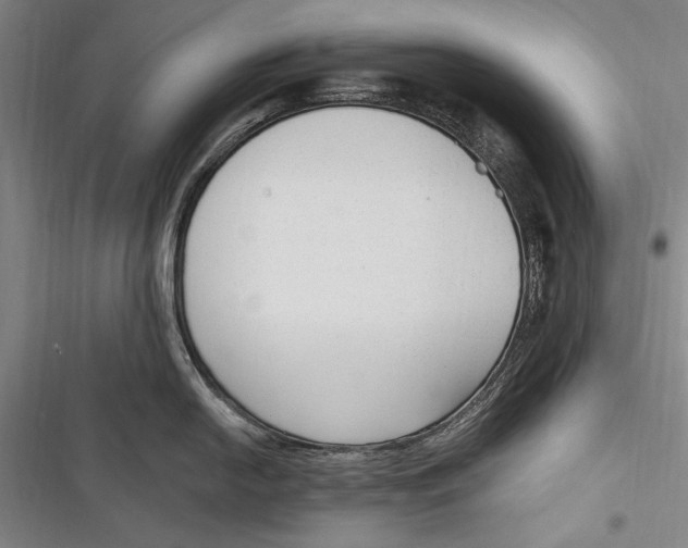 X0000116851054201001121216