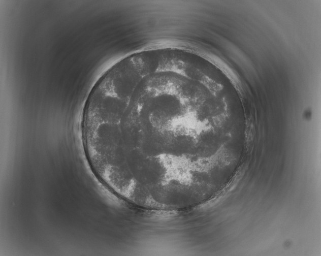 X0000116851055201001121216