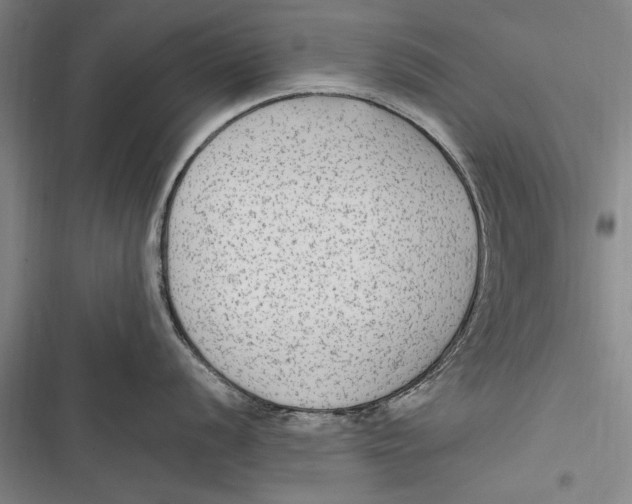 X0000116851056201001121216