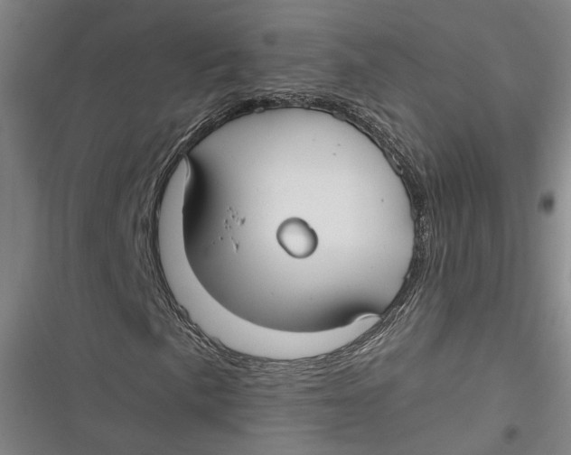 X0000116851057201001121215