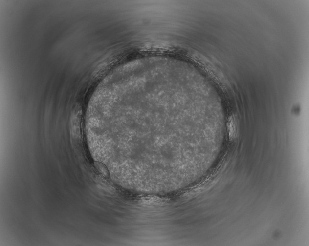 X0000116851059201001121215