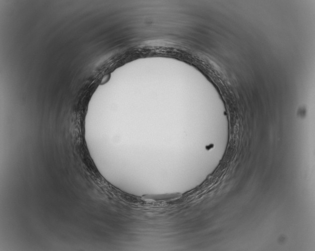X0000116851062201001121215