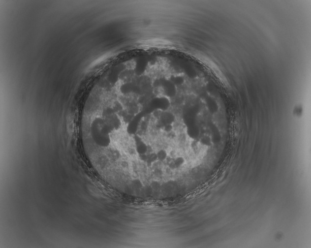 X0000116851063201001121215