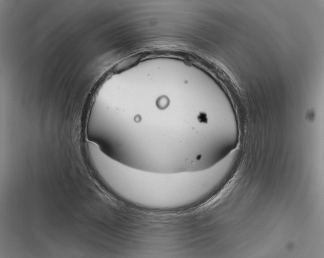 X0000116851065201001121215