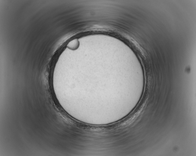 X0000116851066201001121215