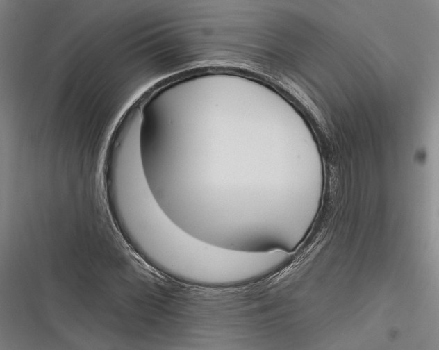 X0000116851068201001121215