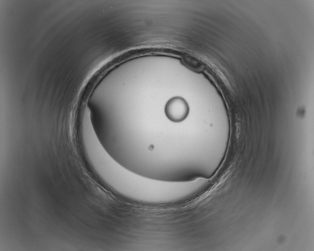 X0000116851069201001121215
