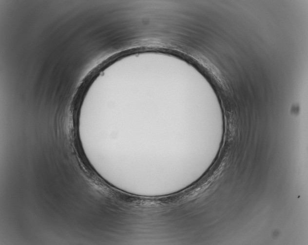 X0000116851070201001121215