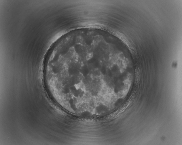 X0000116851071201001121215