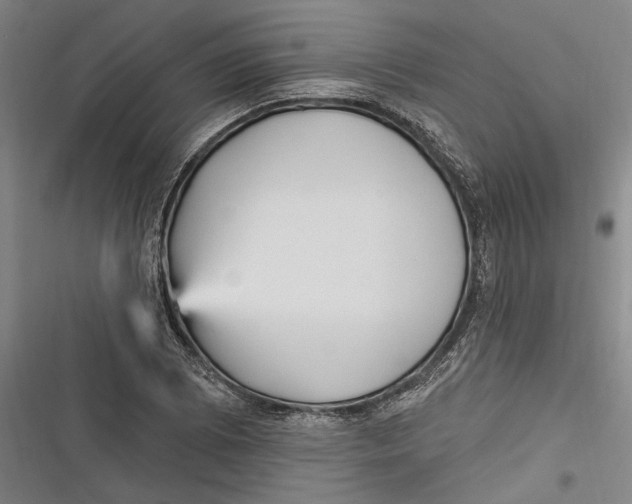 X0000116851073201001121215