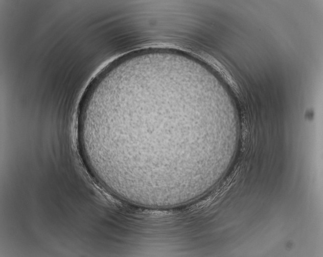X0000116851076201001121215