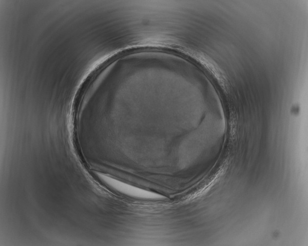 X0000116851077201001121215