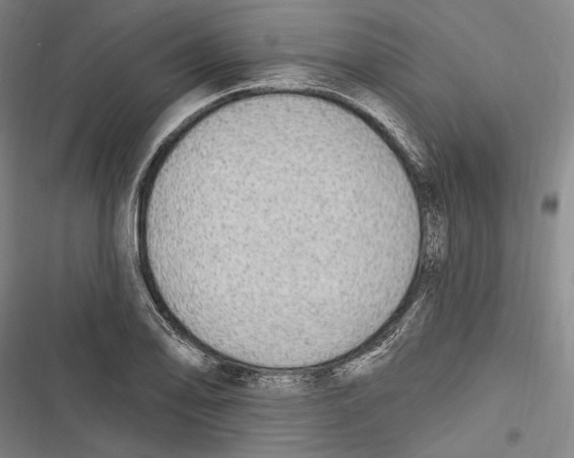 X0000116851078201001121215