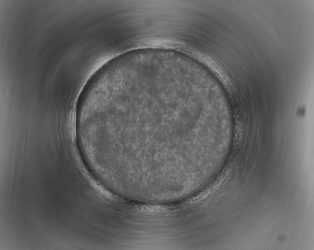 X0000116851079201001121215