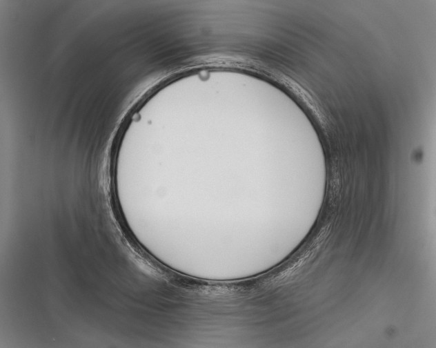 X0000116851082201001121215