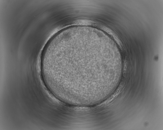 X0000116851083201001121215