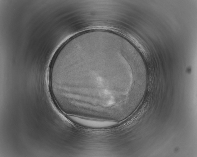 X0000116851084201001121215