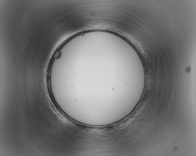 X0000116851086201001121215