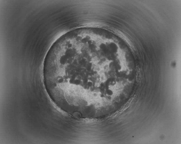 X0000116851087201001121215