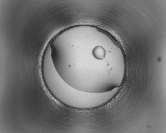 X0000116851088201001121215