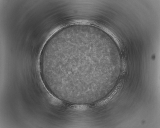X0000116851090201001121215