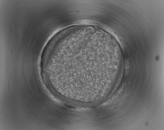 X0000116851091201001121215