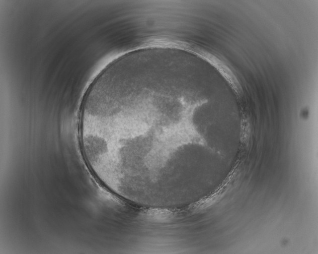 X0000116851094201001121215