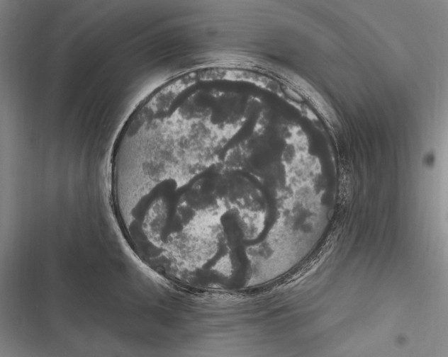 X0000116851095201001121215